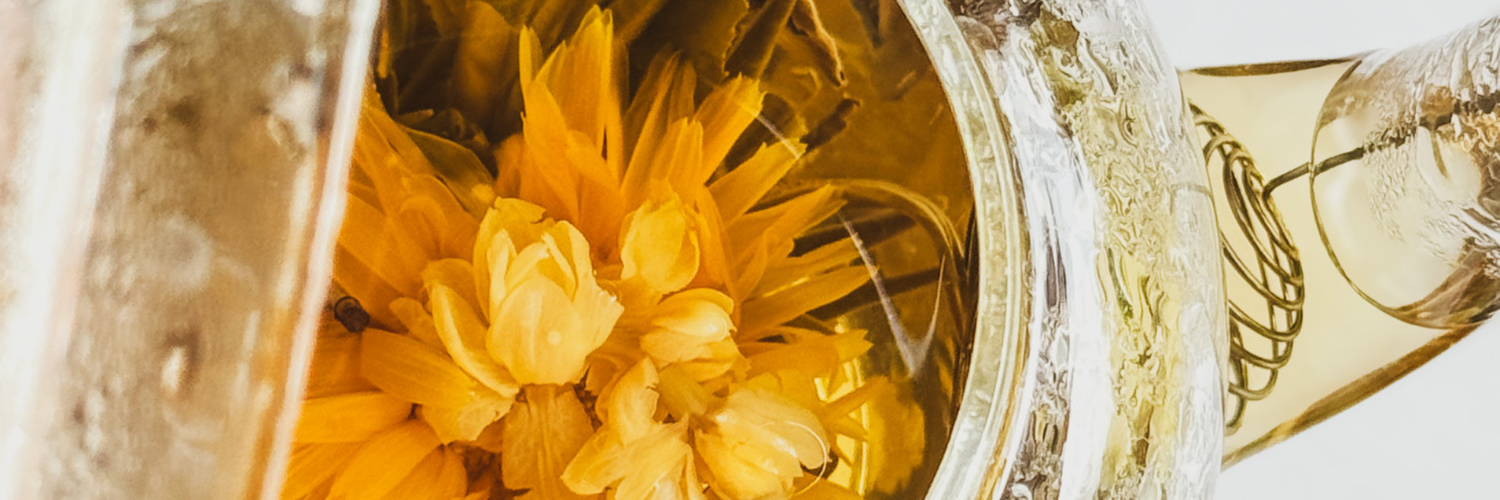 How to Brew Flowering Jasmine Tea