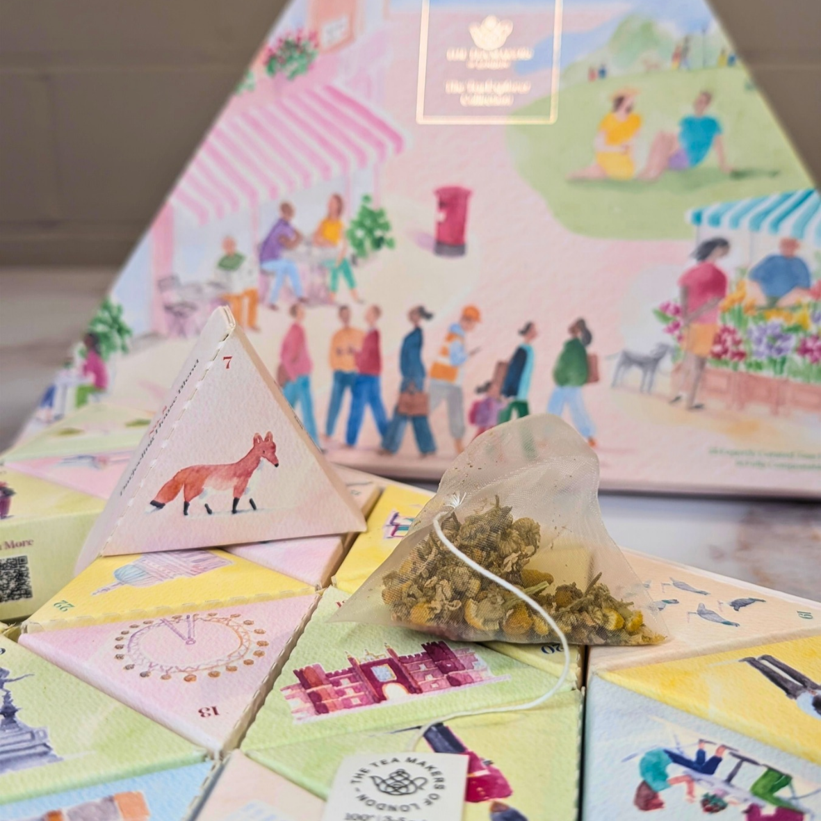 Tea Explorer Collection