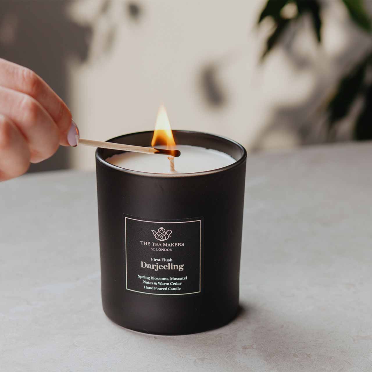 Darjeeling-Kerze „First Flush“