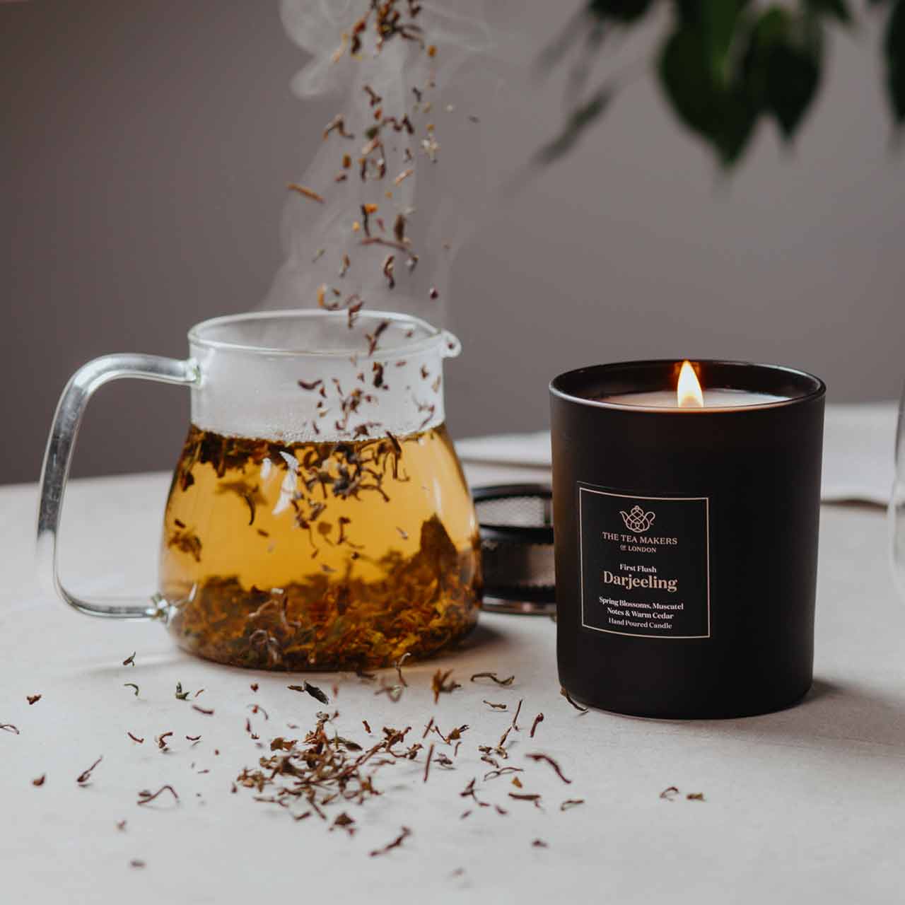 Darjeeling-Kerze „First Flush“